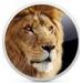 OS X Lion         